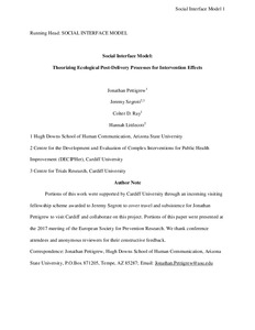 Social interface model: theorizing ecological post-delivery processes ...
