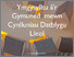 [thumbnail of Research project Report - Welsh]