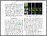 [thumbnail of Multi_Class_Part_Parsing_based_on_Multi_class_Boundaries_ICIP_25_postprint.pdf]
