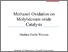 [thumbnail of Methanol Oxidation on MoO3 Catalysts.pdf]