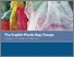 [thumbnail of Cardiff_University_Plastic_Bag_Report_A4 (final proof).pdf]