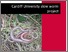 [thumbnail of Cardiff Slow Worms 2016.pdf]