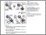 [thumbnail of cell_Rossjohn-2017.pdf]
