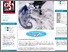 [thumbnail of Is There a Dark Side to Arctic Cooperation? | World Policy Institute.pdf]