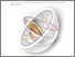 [thumbnail of SDBE2017_-Proceedings-Al-Jokhadar .pdf]