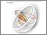 [thumbnail of SDBE2017-HosneyLannonJabi.pdf]