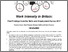 [thumbnail of 4_Intensity_Minireport_Final.pdf]