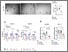 [thumbnail of Fig3]