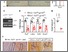 [thumbnail of Fig4]