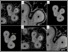 [thumbnail of Fig2]