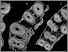 [thumbnail of Fig4]