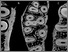 [thumbnail of Fig5]