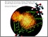 [thumbnail of OA-14.pdf]