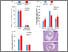 [thumbnail of Sup Fig 3]