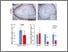 [thumbnail of Fig 5]