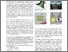 [thumbnail of PP.pdf]