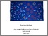 [thumbnail of Freya Mitchison PhD Thesis.pdf]