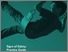 [thumbnail of Practice Guide]