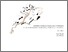 [thumbnail of 2011RoachGMPhil.pdf]