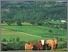 [thumbnail of Sustainable Farming And Our Land - July 2019.pdf]