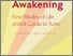 [thumbnail of Great Awakening.pdf]