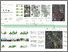 [thumbnail of Bio-corridor.jpg]