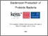 [thumbnail of Harnessing Antimicrobial Bacteriocin Production of Probiotic Bacteria - Tamsin Joyce C1886332.pdf]