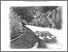 [thumbnail of Roads and Wildlife - PhD Thesis - Amy Williams Schwartz.pdf]