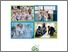[thumbnail of SHRN-NR-FINAL-23_03_21-en.pdf]