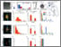 [thumbnail of NB_Figures_22Oct2020.pdf]