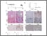 [thumbnail of 180421 Figures.pdf]