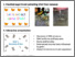 [thumbnail of Figure 2]