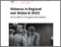 [thumbnail of NVSN Report 2022.pdf]