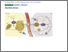 [thumbnail of 150461.2-20220706091444-covered-e0fd13ba177f913fd3156f593ead4cfd.pdf]