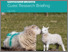 [thumbnail of Research Briefing]