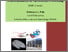 [thumbnail of 2011putsnaPhD- DEC PAGE REMOVED.pdf]