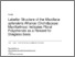 [thumbnail of Davies et al. 2023.pdf]