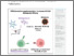[thumbnail of Bifidobacterium.pdf]
