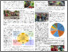 [thumbnail of FPHCPosterTOPC.pdf]