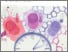 [thumbnail of d3sc06128k.pdf]