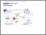 [thumbnail of 171222.2-20240313141845-covered-e0fd13ba177f913fd3156f593ead4cfd (1).pdf]