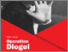 [thumbnail of project report]