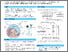 [thumbnail of PICCOS IGCS poster 2024.pdf]