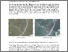 [thumbnail of Supplementary Document .pdf]
