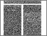 [thumbnail of Representing_the_Richness_of_Avian_Spatial_Cognition.pdf]