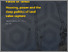 [thumbnail of Final Version 310326_ShepherdWhite_LVCReport Updated 29 April.pdf]