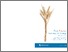 [thumbnail of r0109foodfutures.pdf]