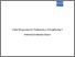 [thumbnail of UNDP - Global Programme for Parliamentary Strengthening - EN - 2007 - PS.pdf]