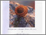 [thumbnail of U585192- DEC PAGE REMOVED.pdf]