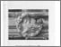 [thumbnail of U584414 DEC PAGE REMOVED.pdf]